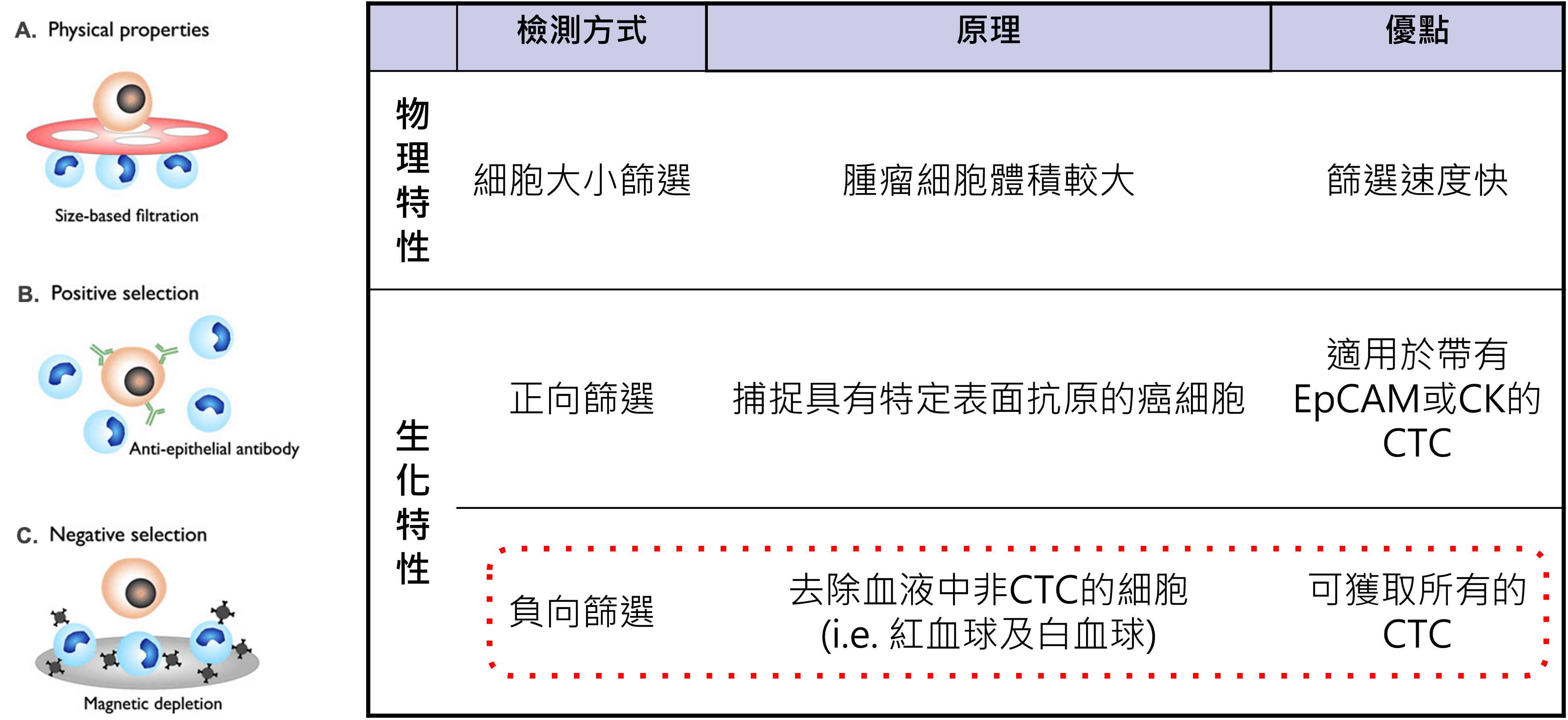 獨家負向篩選技術：保留更多循環腫瘤細胞類型